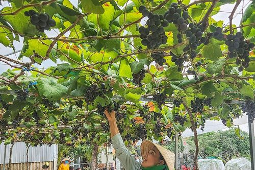 Tạo cơ hội để phụ nữ phát triển
