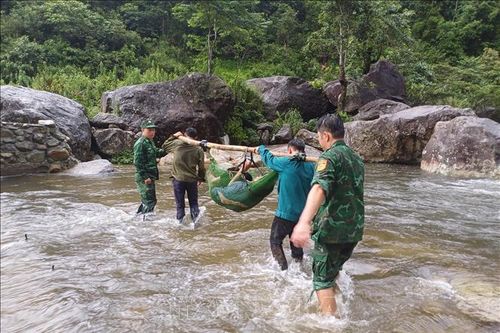 Người đàn ông sống sót sau 4 ngày rơi xuống vực trong rừng sâu