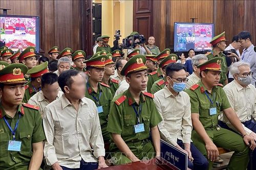Vụ án liên quan đến Cục Đăng kiểm Việt Nam: Bắt đầu thẩm vấn các bị cáo