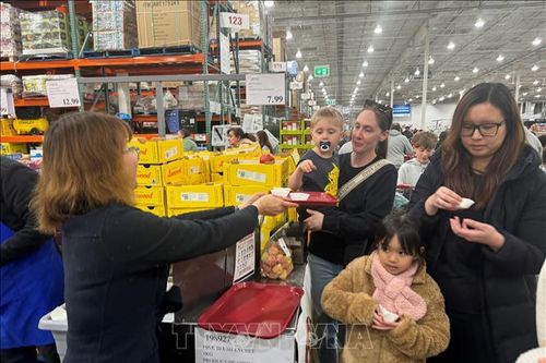 Quả vải Việt Nam 'cháy hàng' tại chuỗi siêu thị Costco ở Australia