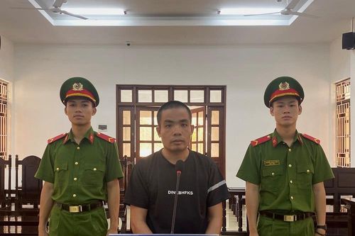 'Ngựa quen đường cũ'