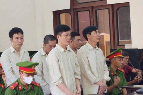Trộm 2 cây mai vàng 'khủng', nhóm bị cáo lãnh án tổng cộng 87 năm tù