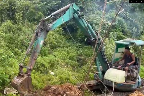 Tiêu hủy gần 800kg chân gà đông lạnh không rõ nguồn gốc