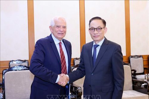 Trưởng Ban Đối ngoại Trung ương Lê Hoài Trung tiếp Phó Chủ tịch Ủy ban châu Âu