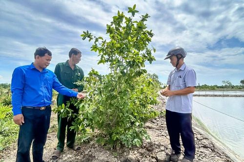 Xây dựng NTM không có điểm dừng