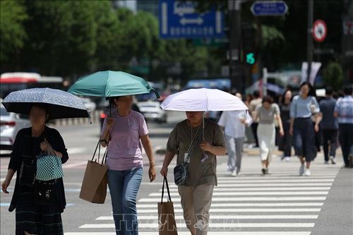 Gần 1.000 người ở Hàn Quốc nhập viện vì các bệnh liên quan đến nắng nóng