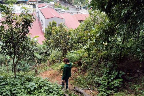 Bắc Kạn: Công bố thêm một khu vực sạt lở khẩn cấp về thiên tai