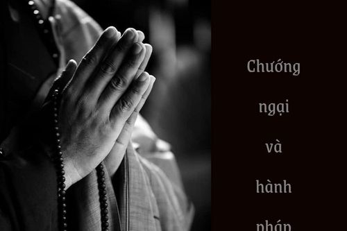 Chướng ngại và hành pháp
