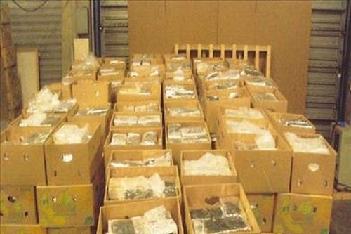 Cảng Antwerp tiếp tục là 'điểm nóng' về tội phạm ma túy