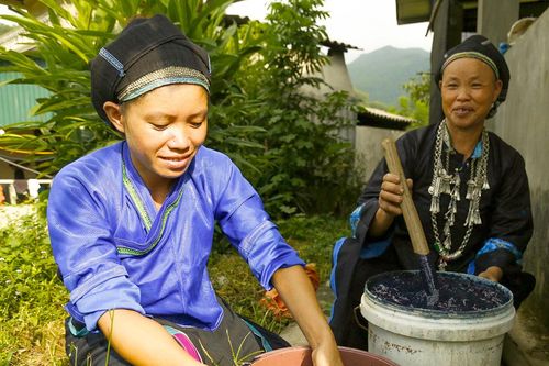 Mùa ủ chàm của người Nùng Bum Kẹn