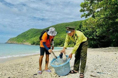 Du lịch Việt Nam vì mục tiêu giảm thiểu rác thải nhựa