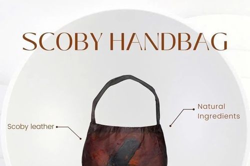 Sinh viên thiết kế thời trang từ vi khuẩn và nấm men