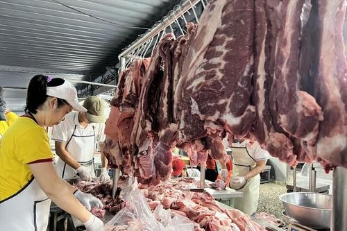 Đảo Phú Quý thiếu thịt