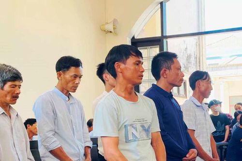 Cái giá phải trả cho sự coi thường pháp luật