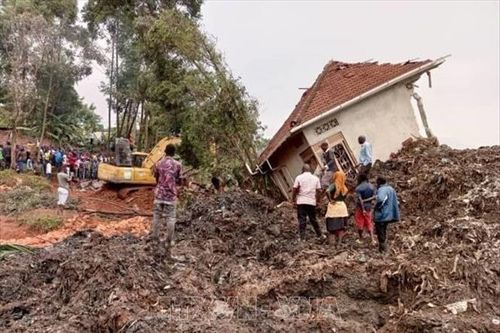 19 người tử vong do sạt lở đất ở Uganda