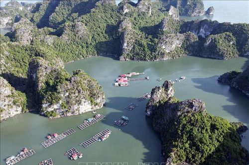 Làng chài Vung Viêng cuốn hút du khách quốc tế