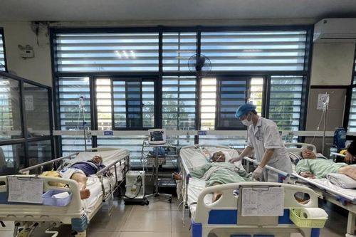 Hai người đàn ông ngộ độc do uống rượu ngâm rễ cây rừng đã qua cơn nguy kịch