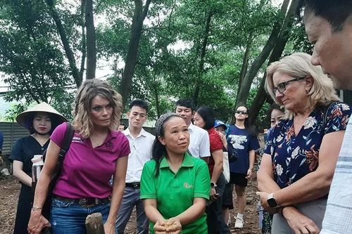 Nữ nông dân Việt Nam và Hoa Kỳ cùng nhau trao đổi cách làm nông nghiệp