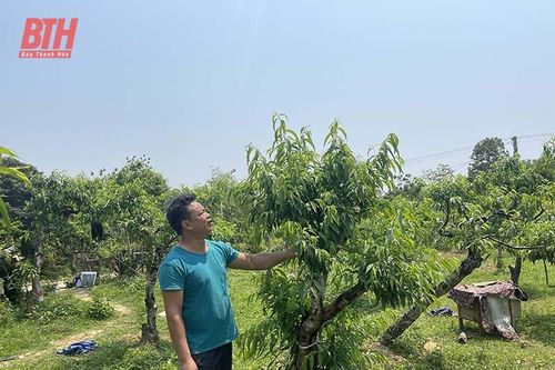 Hội Làm vườn và Trang trại tỉnh góp phần nâng cao hiệu quả sản xuất nông nghiệp