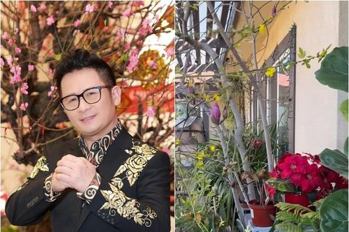 'Mỏi mắt ngắm' biệt thự nhà vườn 2.000m2 của Bằng Kiều ở Mỹ