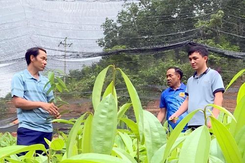 Loay hoay thực hiện các dự án hỗ trợ sản xuất (bài 2)