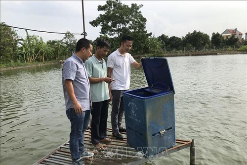 Trang bị kiến thức, kỹ thuật hỗ trợ nông dân phát triển sản xuất