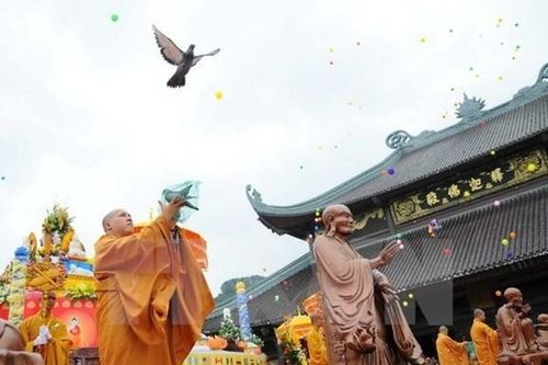 Đạo pháp và luật pháp!