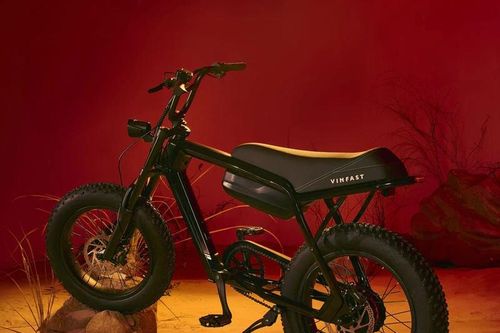 Giới trẻ phát sốt với xe đạp trợ lực điện VF DrgnFly
