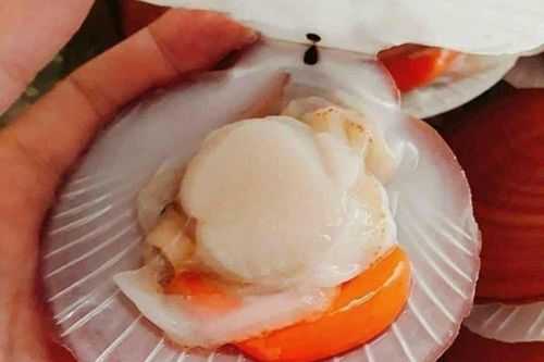 Đặc sản cao cấp có nguồn gốc từ Nhật ồ ạt nhập khẩu vào Việt Nam, giá giảm một nửa