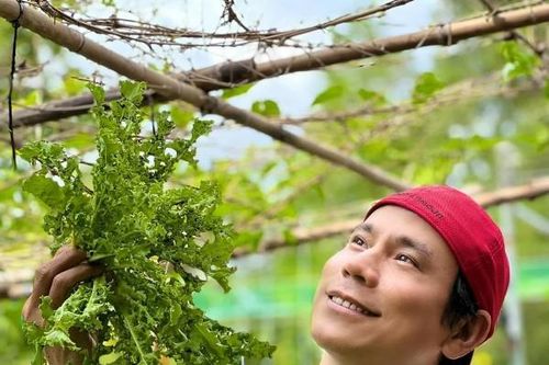 Cận cảnh nhà vườn 800m2 của 'nam thần màn ảnh' Trí Quang