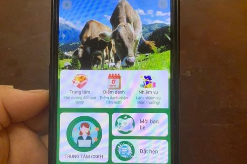Người phụ nữ suýt mất 300 triệu đồng vì 'nuôi bò' online