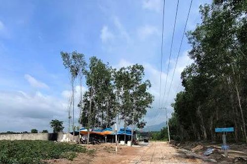 Công an Bình Thuận khám xét trại heo nghi gây dịch tả heo châu Phi