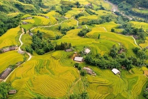 Đừng bỏ lỡ Tả Van khi du lịch Sa Pa mùa lúa chín