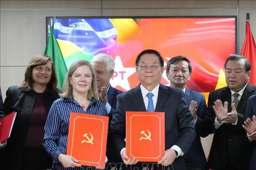 Thúc đẩy quan hệ Việt Nam - Brazil phát triển lên tầm cao mới