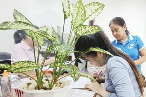 Trên bước đường hoàn lương