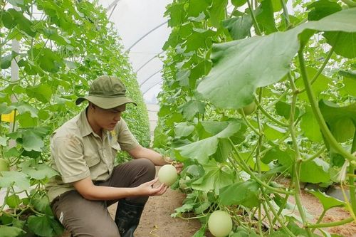 Nhiều dư địa tăng xuất khẩu nông sản vào thị trường EU
