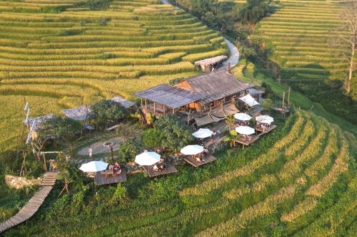 Lên Sa Pa nhâm nhi cà phê view 'triệu đô' nhìn ra ruộng lúa bậc thang
