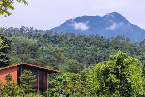 Villa ngoại ô: Những không gian sống tương tác với thiên nhiên