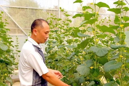 Đưa tiến bộ khoa học và kỹ thuật đến gần người dân
