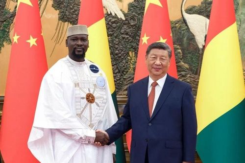Gặp Tổng thống Guinea, ông Tập Cận Bình hứa sẽ 'hô biến' một thứ thành động lực phát triển
