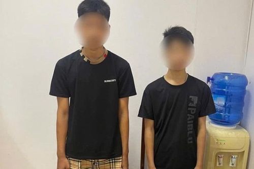 Hai nam sinh rủ nhau đi chặt biển số xe của người đi đường