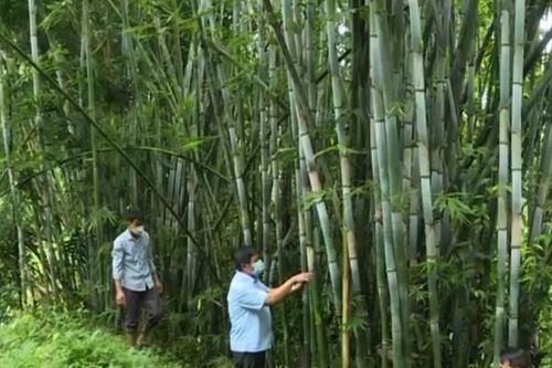 Thanh Hóa: Đạt nhiều kết quả trong chính sách hỗ trợ đồng bào dân tộc thiểu số và miền núi