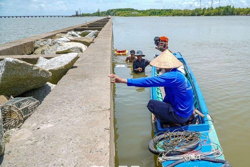 Nghề khai thác hàu ven đê
