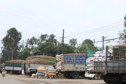 Rớt xuống hố chứa nước thải nhà máy sắn, 2 công nhân tử vong