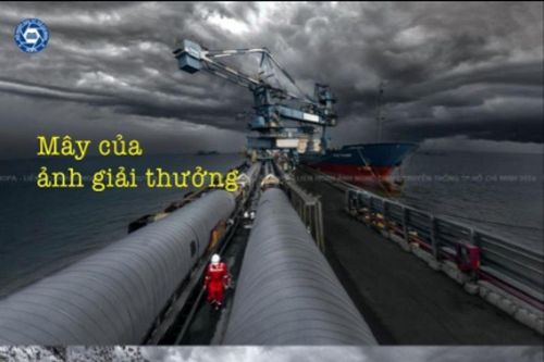 Tác phẩm ảnh đoạt giải của Hội Nhiếp ảnh TP HCM bị thu hồi Huy chương