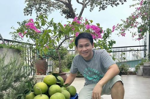 Trọng Tấn hái bưởi trước khi bão về, diễn viên 'Những nẻo đường gần xa' đính hôn