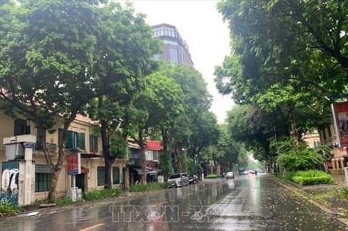 Bão số 3: Người dân Hà Nội nghiêm túc phòng tránh, hạn chế ra đường