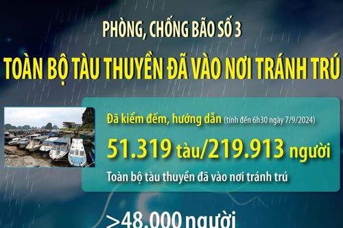 Phòng, chống bão số 3: Toàn bộ tàu thuyền đã vào nơi tránh trú