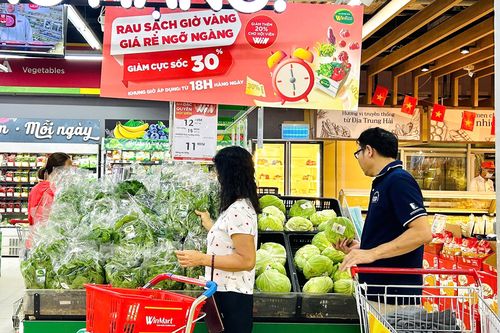 Chuyển 100 tấn rau củ từ Nam ra Bắc phục vụ người dân sau bão Yagi