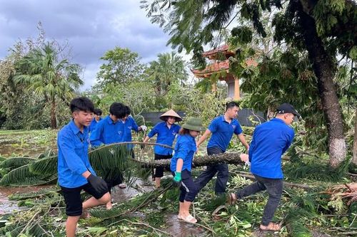Sinh viên Quảng Ninh tình nguyện hỗ trợ khắc phục hậu quả bão YAGI